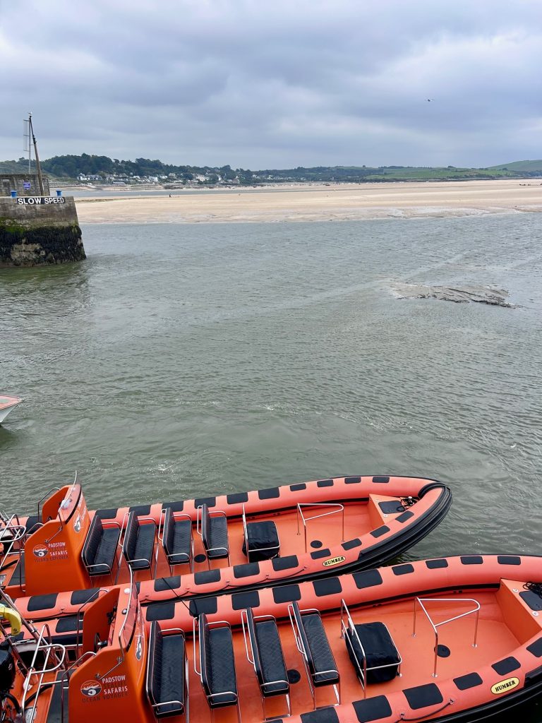 Padstow Sealife Safaris